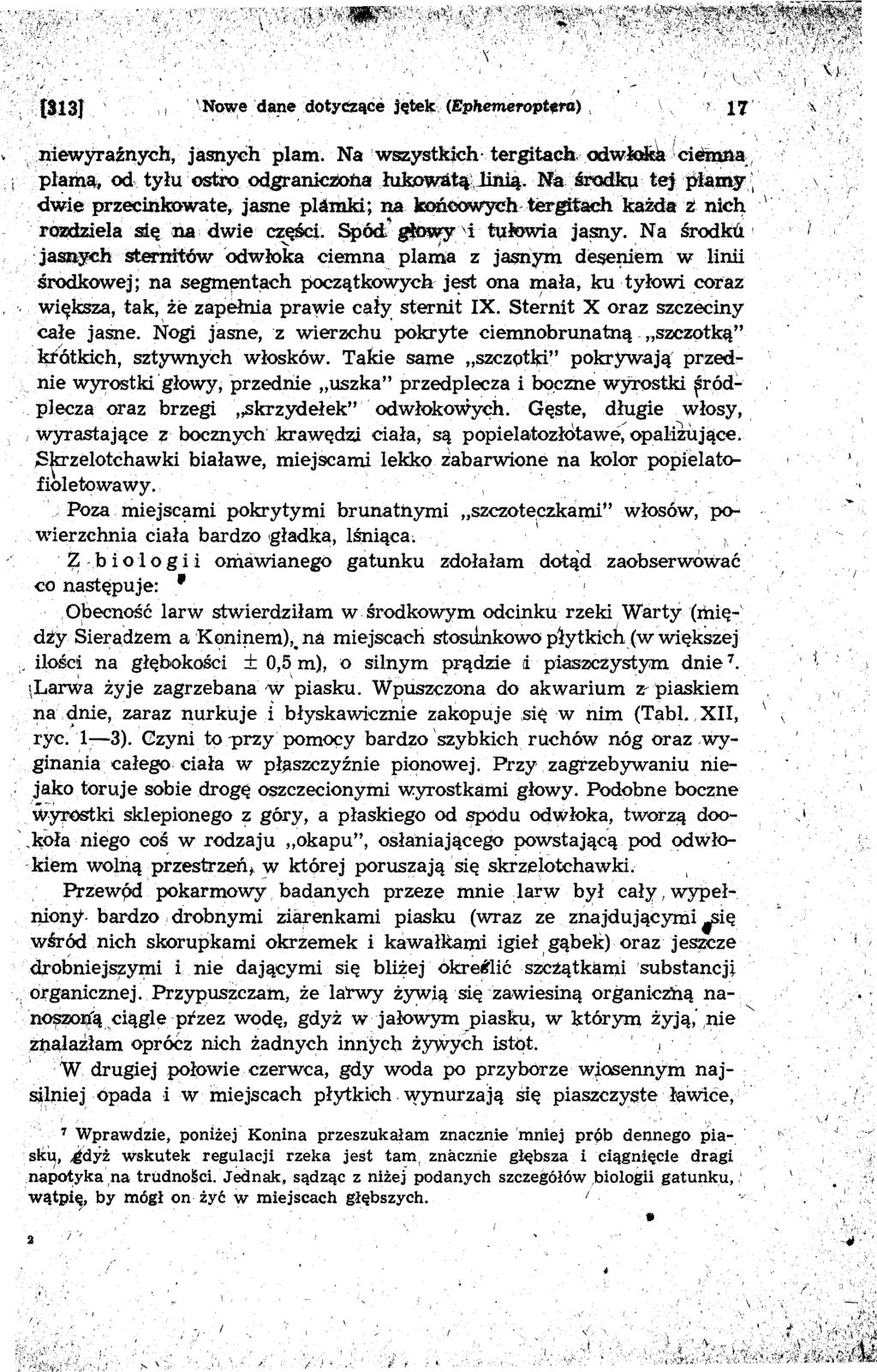 . ;..(313}. ' -. I 'Now:e da~e dotyc:ząće }t:te~ (Ephemeroptra>, ) 17', niewyraźnych, jasnyeh plam. Na wszystkich tergitach. odwłeialci~a:, 1 pł~ma. od. tyłu ostro odgraniezona łukt>watą:.jinią. Na.. środktl tej p-hłmg.