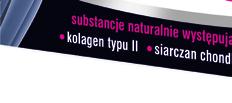 PROBIOTYK 17