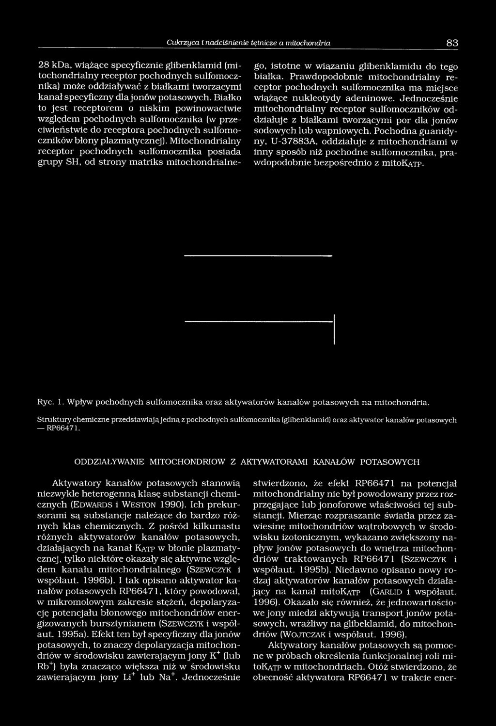 Mitochondrialny receptor pochodnych sulfomocznika posiada grupy SH, od strony matriks mitochondrialnego, istotne w wiązaniu glibenklamidu do tego białka.