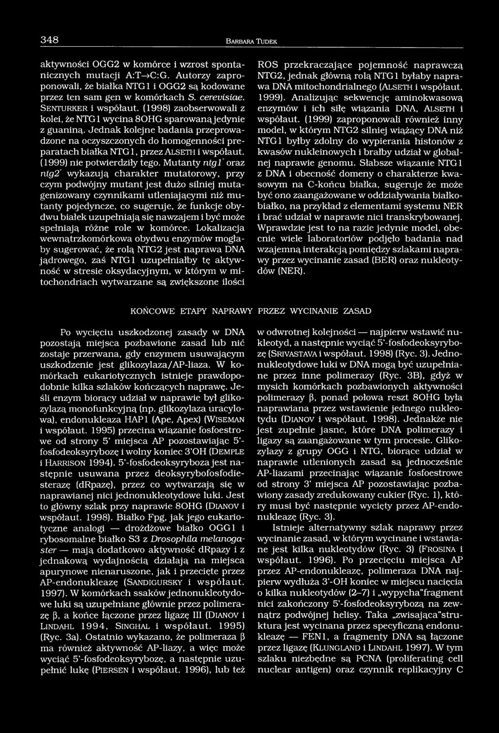 Jednak kolejne badania przeprowadzone na oczyszczonych do homogenności preparatach białka NTG1, przez Alseth i współaut. (1999) nie potwierdziły tego.