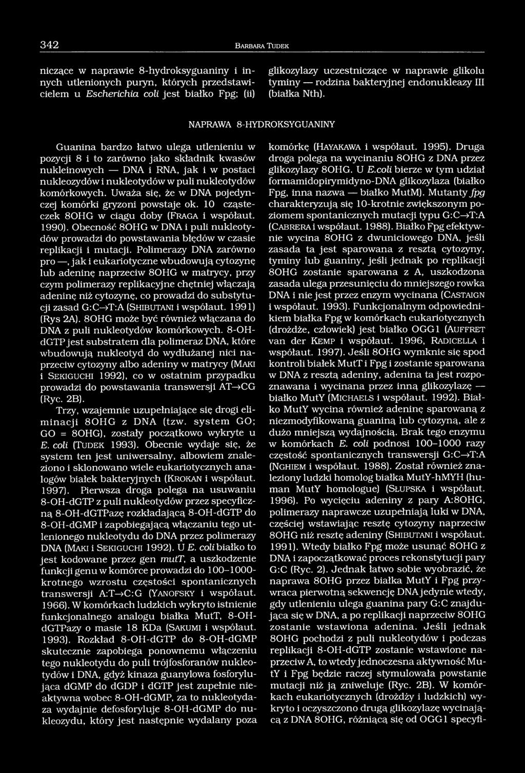 NAPRAWA 8-HYDROKSYGUANINY Guanina bardzo łatwo ulega utlenieniu w pozycji 8 i to zarówno jako składnik kwasów nukleinowych DNA i RNA, jak i w postaci nukleozydów i nukleotydów w puli nukleotydów