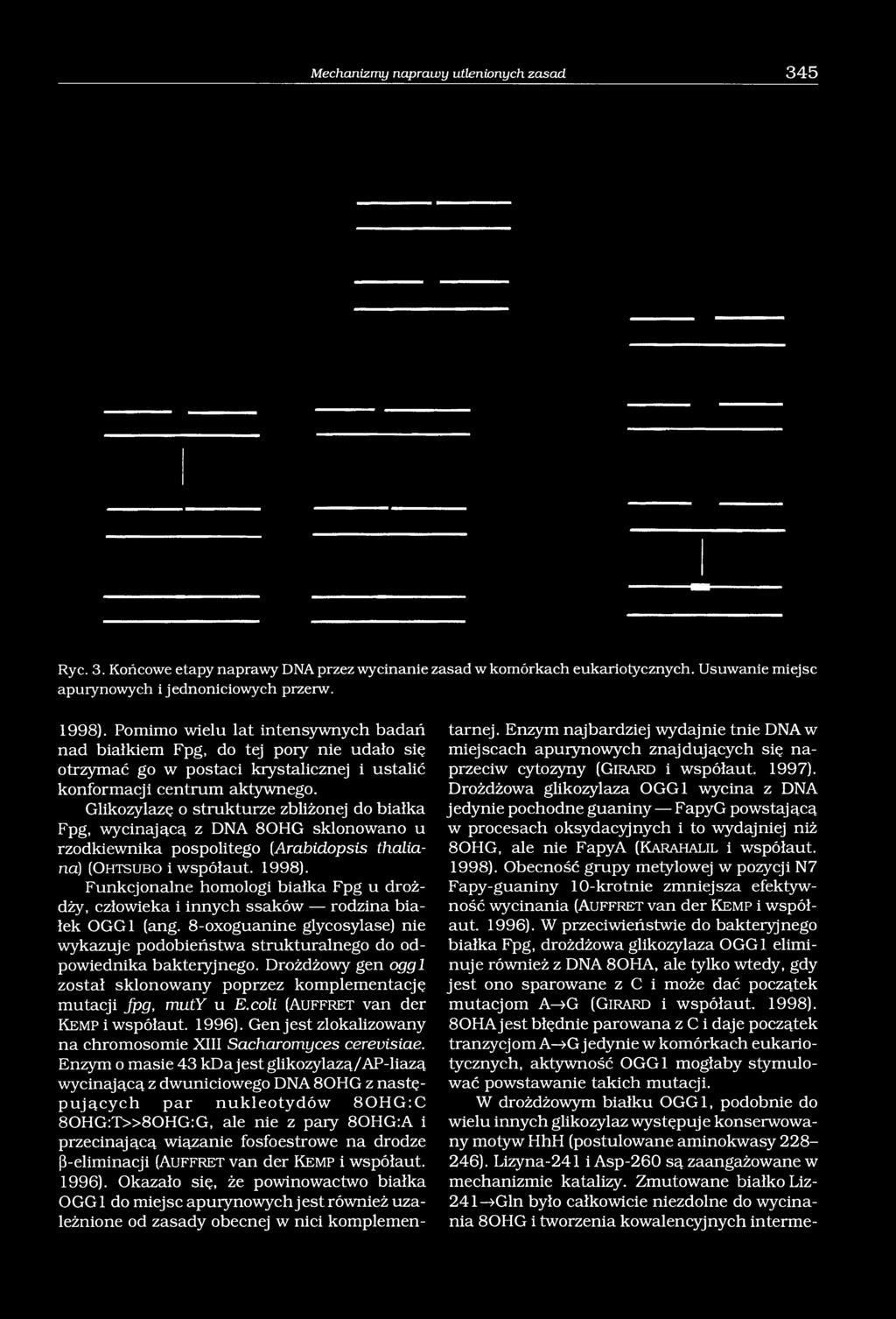 Glikozylazę o strukturze zbliżonej do białka Fpg, wycinającą z DNA 80HG sklonowano u rzodkiewnika pospolitego (Arabidopsis thaliarta) (Ohtsubo i współaut. 1998).