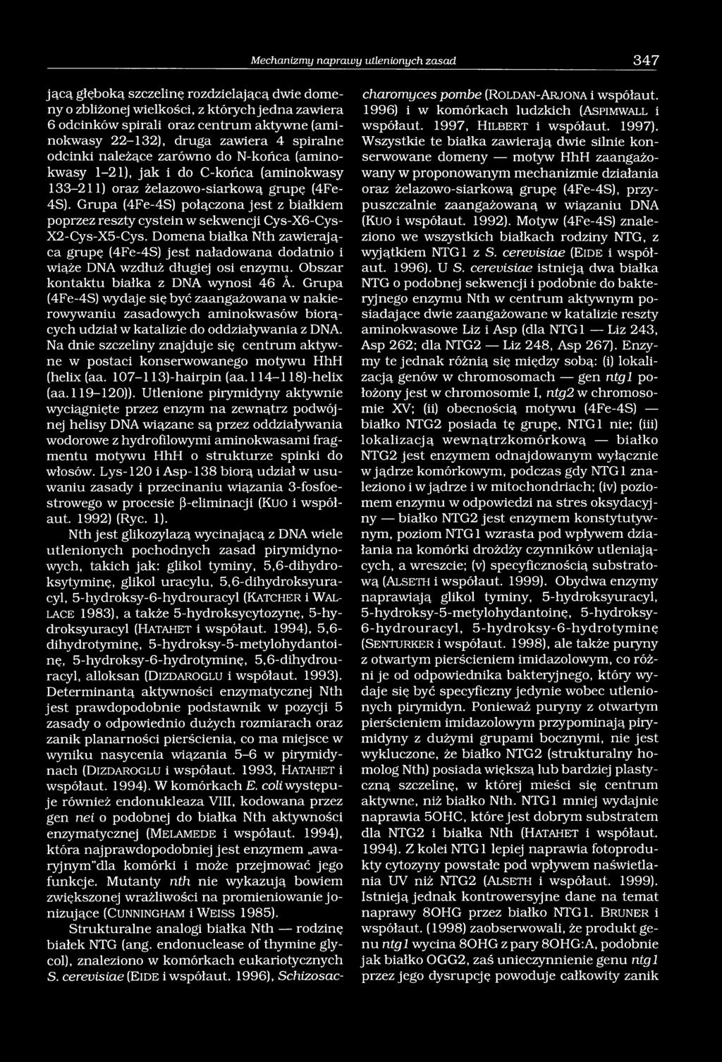 Grupa (4Fe-4S) połączona jest z białkiem poprzez reszty cystein w sekwencji Cys-X6-Cys- X2-Cys-X5-Cys.
