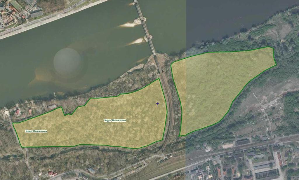 Rezerwat przyrody Kępa Bazarowa utworzony został w roku 1987 w celu ochrony zbiorowiska leśnego o cechach naturalnych nadrzecznego łęgu wierzbowo-topolowego.