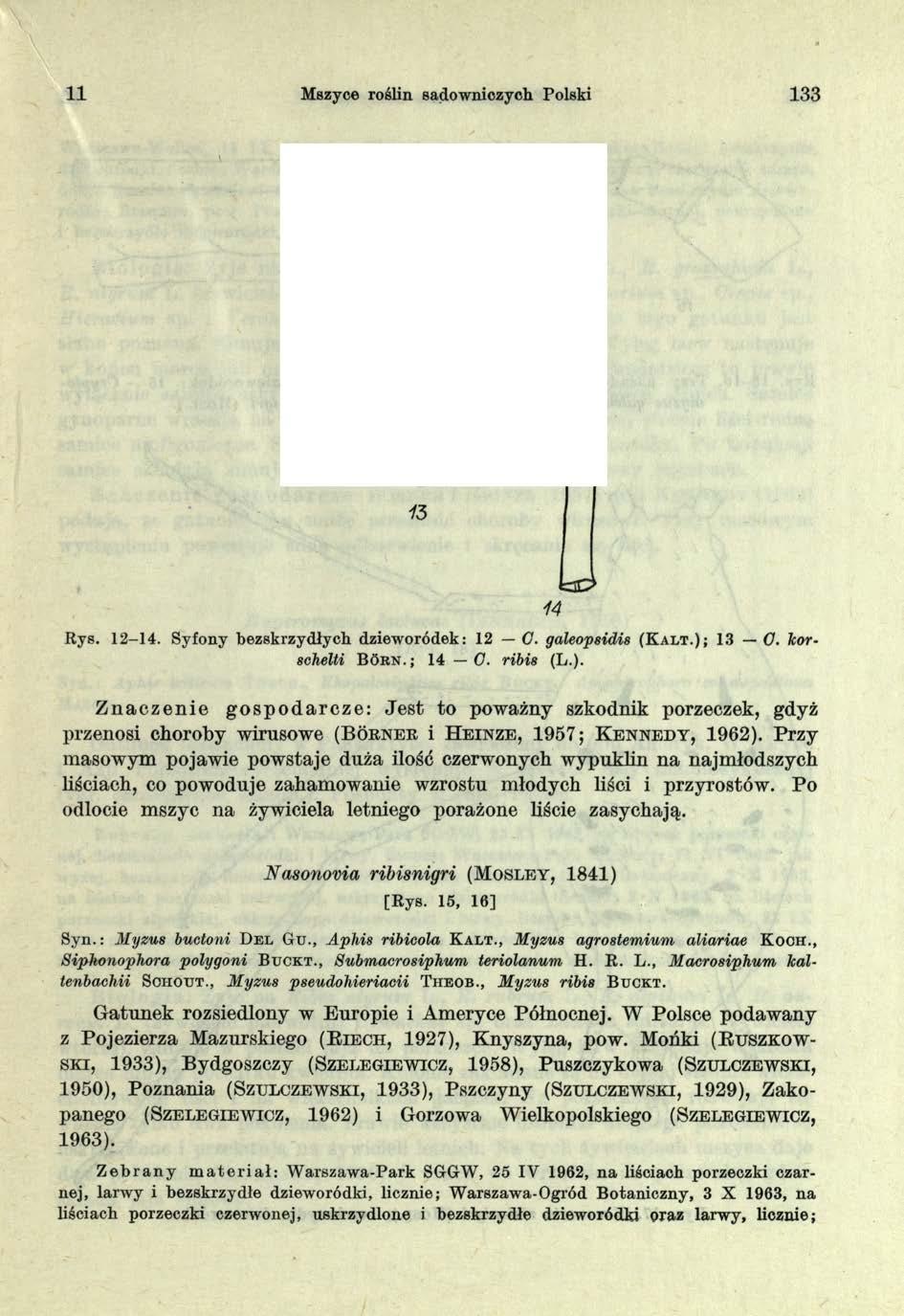 11 Mszyce roślin sadowniczych Polski 133 13 14U Rys. 12-14. Syfony bezskrzydłych dzieworódek: 12 C. galeopsidis (K a l t.);