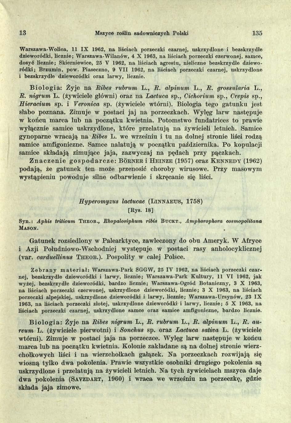 13 Mszyce roślin sadowniczych Polski 135 W arszawa-w olica, 11 IX 1962, na liściach porzeczki czarnej, uskrzydlone i bezskrzydłe dzieworódki, licznie; W arszawa-w ilanów, 4 X 1963, na liściach