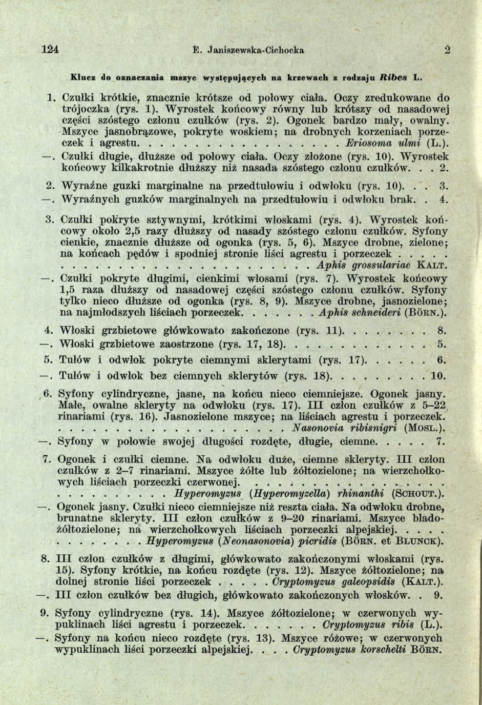 1 2 4 E. Janiszewska-Cichocka 2 K lu c z <lo o z n a c z a n ia m szyc w y s tę p u ją c y c h n a k rz e w a c h z ro d z a ju R ib es Ł. 1. Czułki krótkie, znacznie krótsze od połowy ciała.