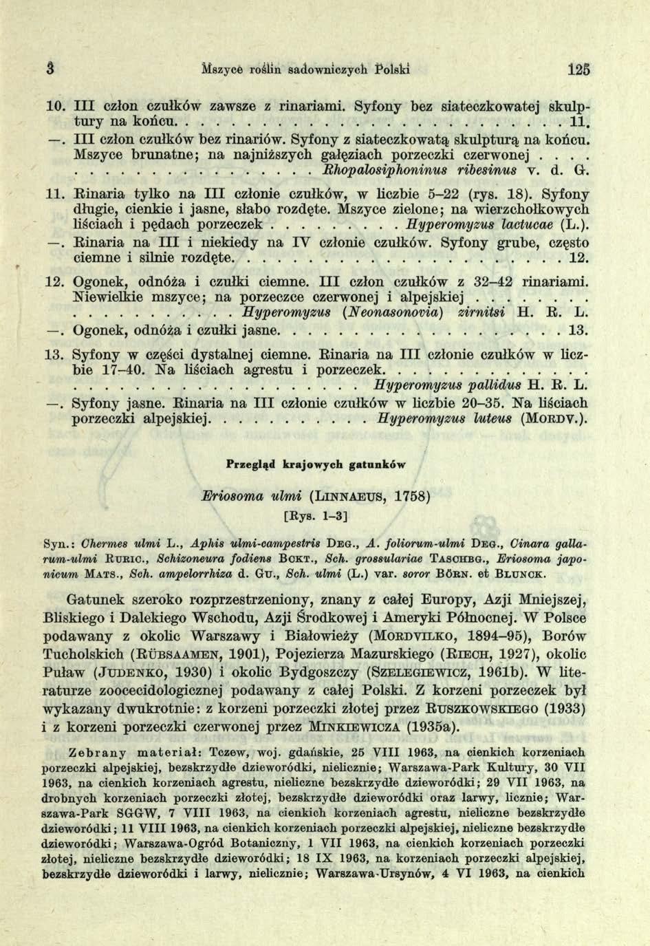 Mszyce roślin sadowniczych Polski 125 10. III człon czułków zawsze z rinariami. Syfony bez siateezkowatej skulptury na końcu...11.. III człon czułków bez rinariów.