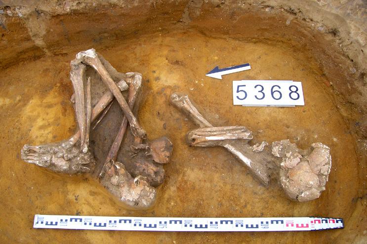 The grave 5368 of the Únětice culture (photo by P. Kaźmierczak) krawędzi wylewu (Ryc. 10:3, 5). Inny typ to formy w kształcie wycinka kuli (Ryc. 10:2, 10).