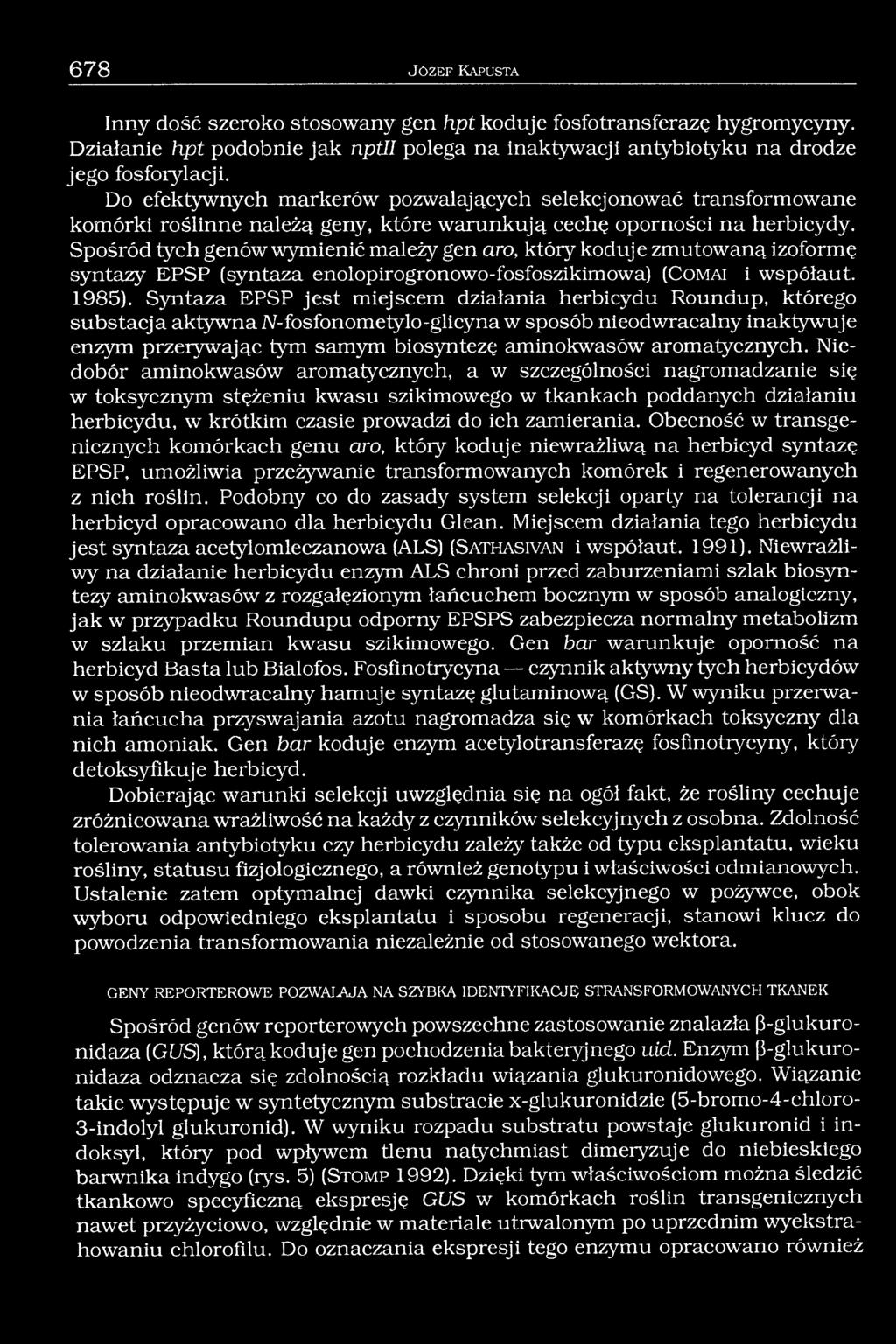 Spośród tych genów wymienić mależy gen aro, który koduje zmutowaną izoformę syntazy EPSP (syntaza enolopirogronowo-fosfoszikimowa) (C om ai i współaut. 1985).