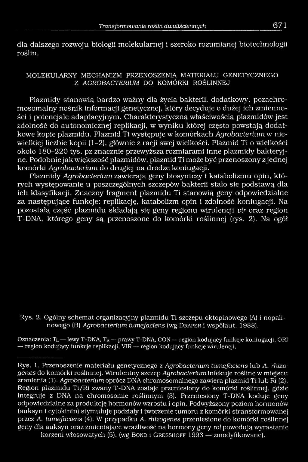 genetycznej, który decyduje o dużej ich zm ienności i potencjale adaptacyjnym.