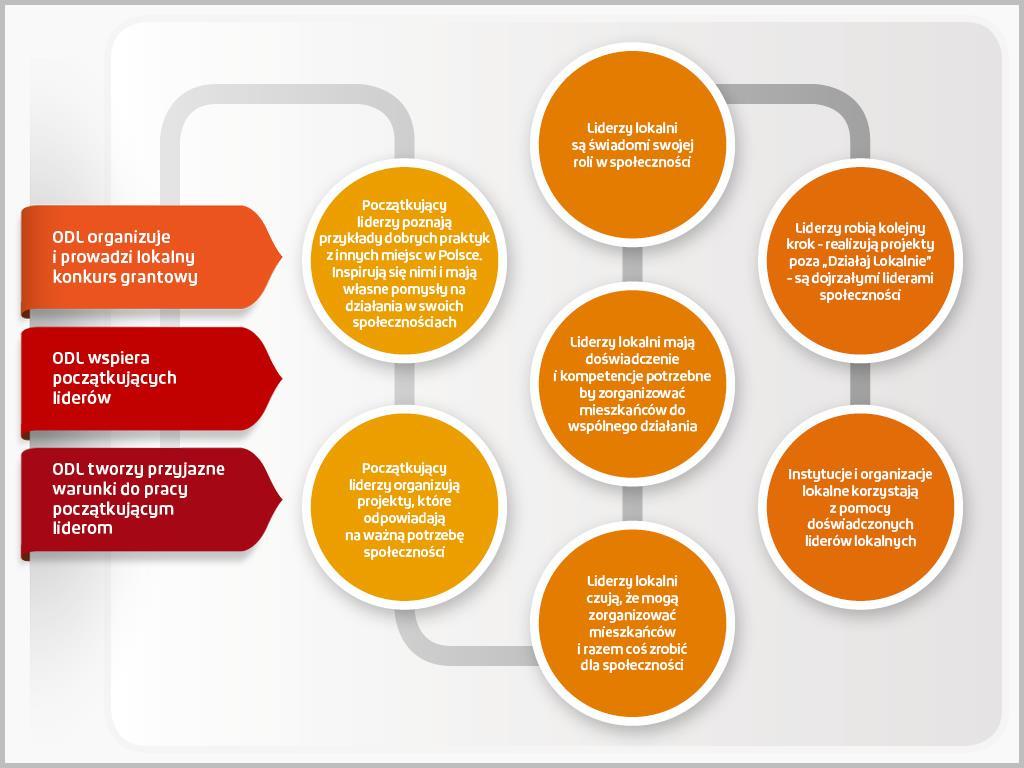 marketing; komunikacja zewnętrzna (PR, promocja); prawo i sprawy formalne; współpraca z otoczeniem; technologie w organizacji; rozwój osobisty; monitoring, ewaluacja.