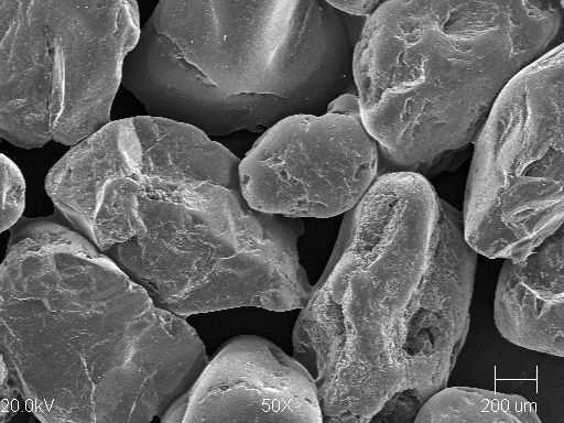 Odlewnictwo XXI wieku technologie, maszyny i urządzenia odlewnicze Na rysunku 6 przedstawiono ziarna wyselekcjonowanej pojedynczej frakcji 0,63 mm osnowy OK2.