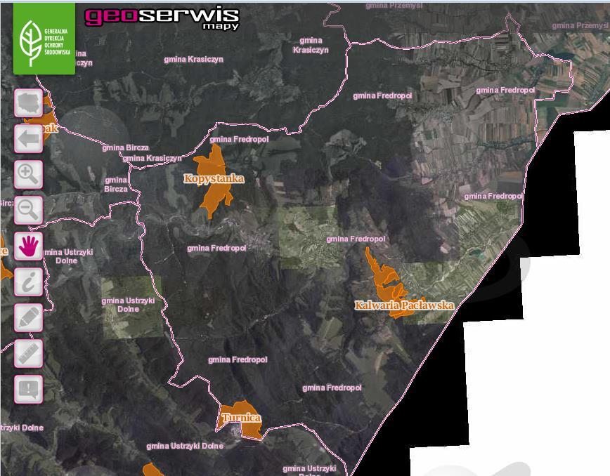 W dobrze zachowanym zbiorowisku grądu występuje runo bogate w takie gatunki, jak: szałwia lepka, żywiec gruczołowaty, pierwiosnka wyniosła, kokorycz i inne.