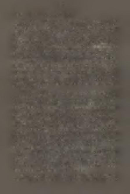 subhydrela, V. a tro v irid is, Chaenotheca melanophaea,arthothelium nianideura, Opegrapha rufescens, Diploschietes bryopłiilus, Cladonia p a p illa ria, 01.