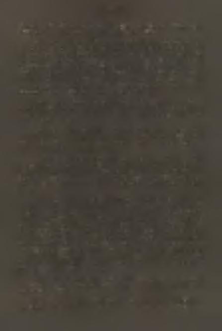 ; Krzywy 630; Wierch Skalni ty 750; Na Młace 780; p o i. Ostre 920; Koty la 780; Czerwieńska Grapa 680; Zielone 480; fo r. g lą u - cescens Harm. - p o t. Bobka 415; p o i. Zieleńska 747; fo r. c f r.