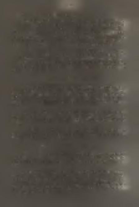 B iła 560; Szczyrk 530, 550; Czantor ia Wielka 660, 810ł p o t. Jawornik 500; Malinka 590. S t. nanodes Tuck. S t.ty ro lie n se /Л т../l e t t, - Na murkach i kopcach kamieni piaskowcowych.