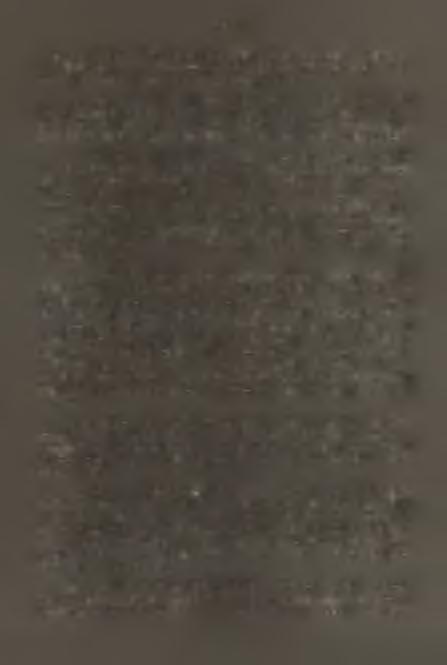 Jawornik 430; Głębce 550. L, polytropa /E h r h./ Rabh, - Na piaskowcach, w m iejscach suchych. Gatunek cz ę sty. 22 s ta n.