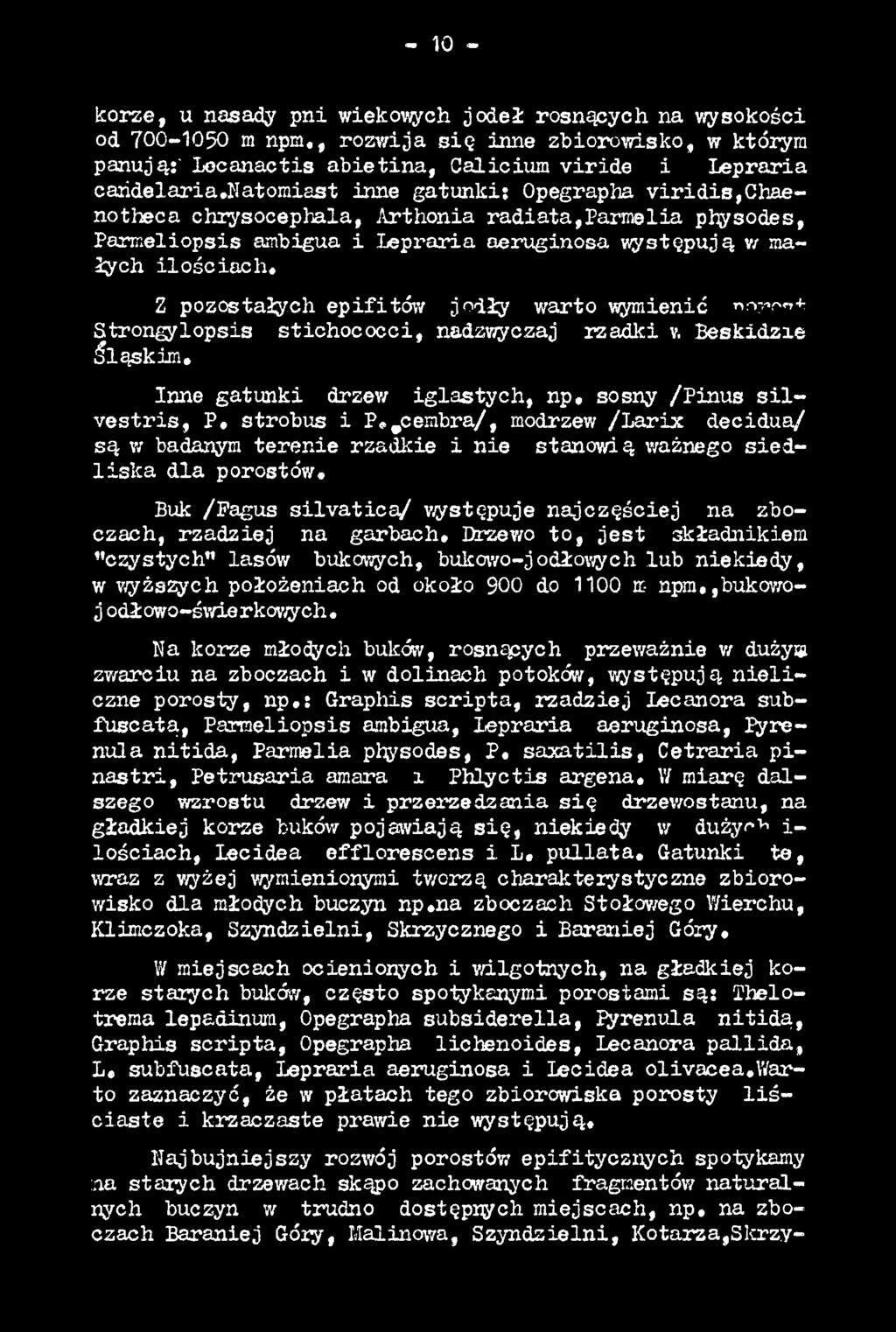 cembra/, modrzew /L a rix decidua/ są w badanym terenie rzadkie i nie stanowi ą ważnego sied lis k a dla porostów, Buk /Pagus s ilv a tic a / występuje najczęściej na zboczach, rzadziej na garbach.
