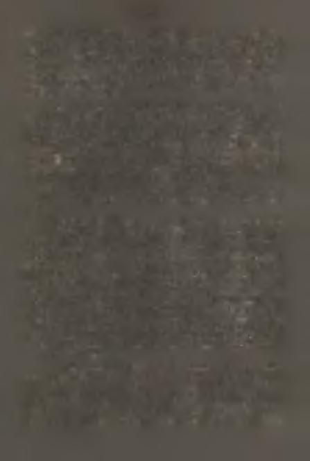 - hala Skrzyć zna 970; Małe Skrzyczne 1170. MOKKA. /1 9 3 0 / podaje ten gatunek z Klimczoka, Kamiennego, Malinowa i Baraniej Góry. Cetraria chloropbylla /W illd * / V a in.