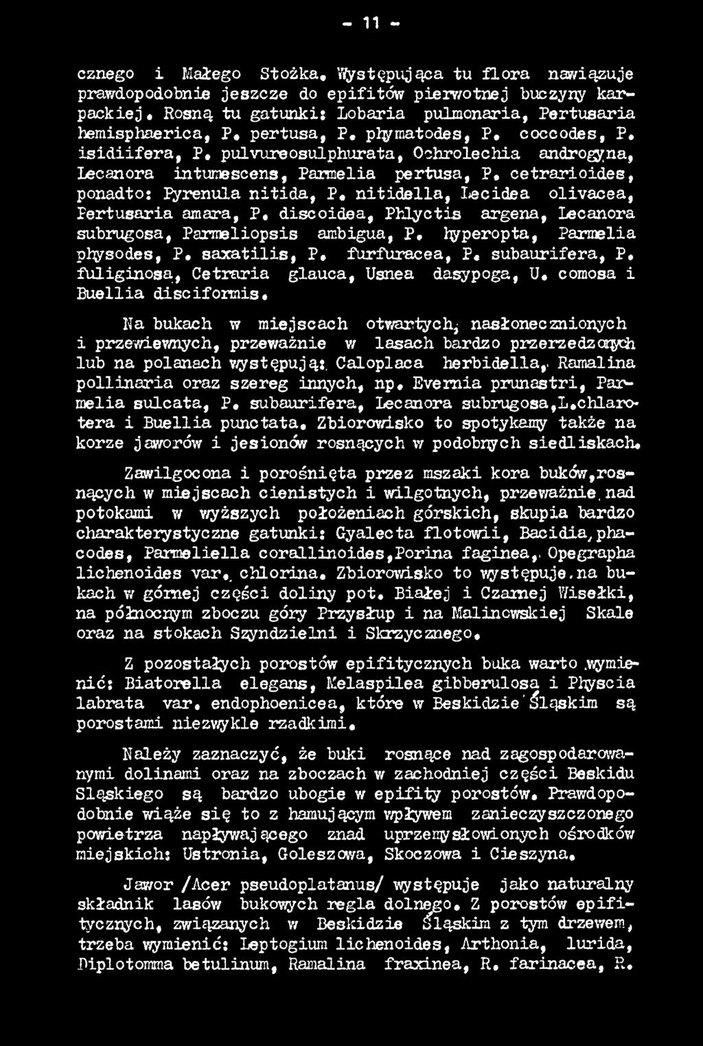 comosa i Buellia disciform is. Na bukach w miejscach otwartych^ nasłonecznionych i przewiewnych, przeważnie w lasach bardzo przerzedzanych lub na polanach występują:. Caloplaca herbidella,.