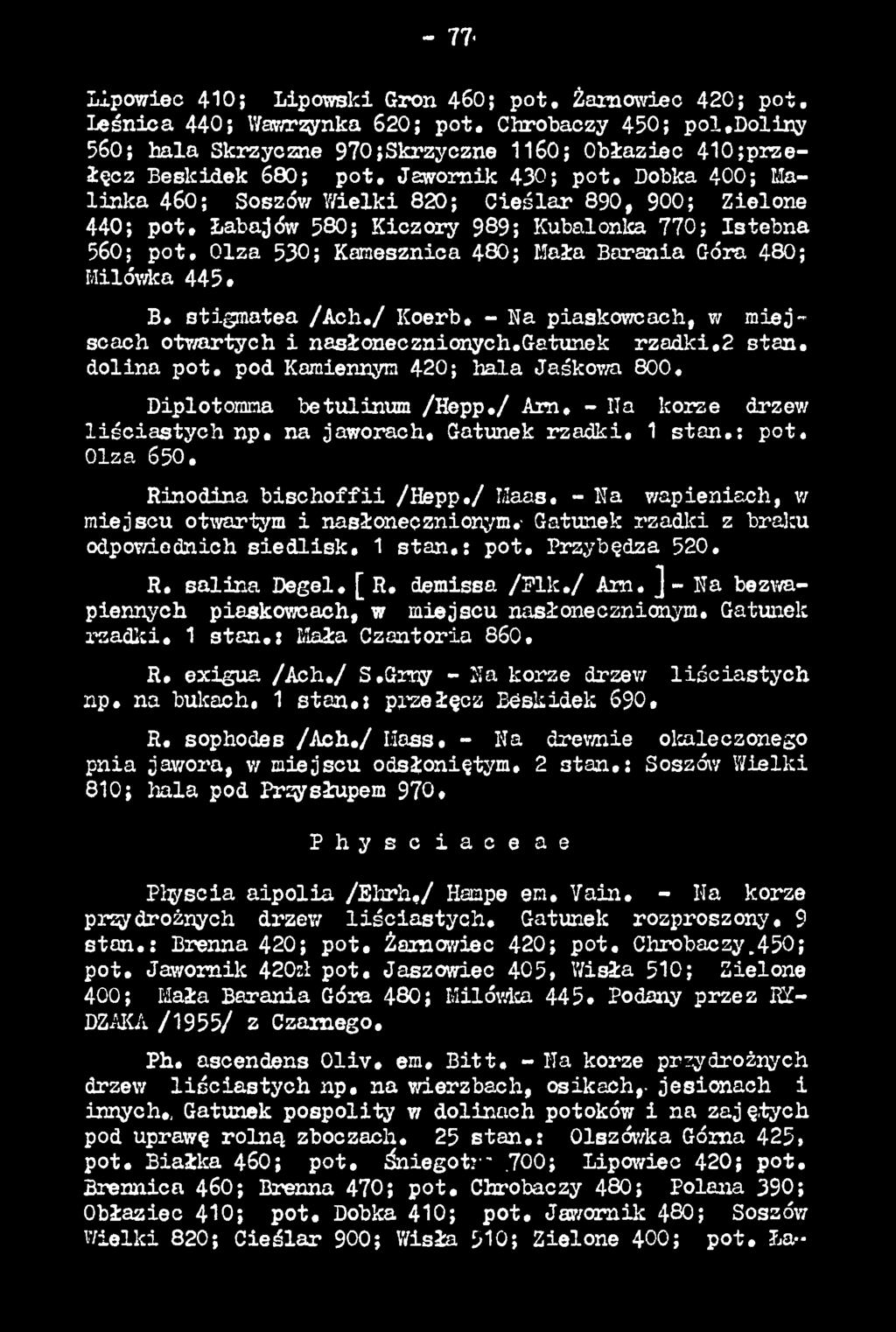 / Am, - Na korze drzew liś c ia s ty c h np. na jaworach. Gatunek rzadki. 1 sta n.: pot. Olza 65О. Rinodina b is c h o ffii /H epp./ Maas. - Na wapieniach, w miejscu otwartym i nasłonecznionym.