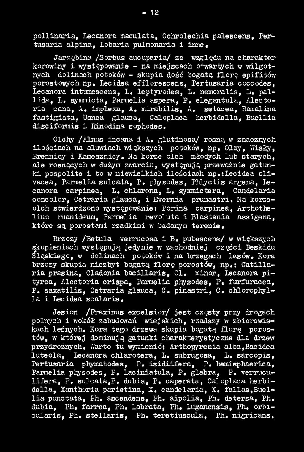 glutinosa/ rosną w znacznych ilościach na aluwiach większych potoków, np. Olzy, Wisły, Brennicy i Kamesznicy.