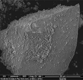 Particle size of chalcedonite meal was measured by laser diffractometer. Pył chalcedonitowy użyty w badaniach laboratoryjnych jest materiałem odpadowym, powstałym w kopalni kruszywa chalcedonitowego.