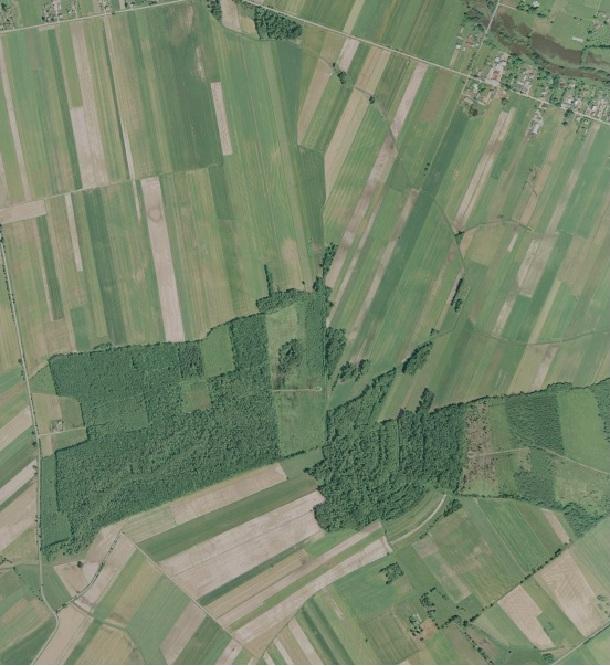 danych PODGiK/ 20