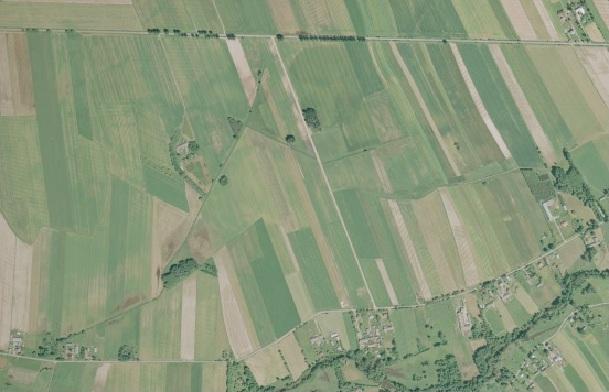 GRĘDZICE