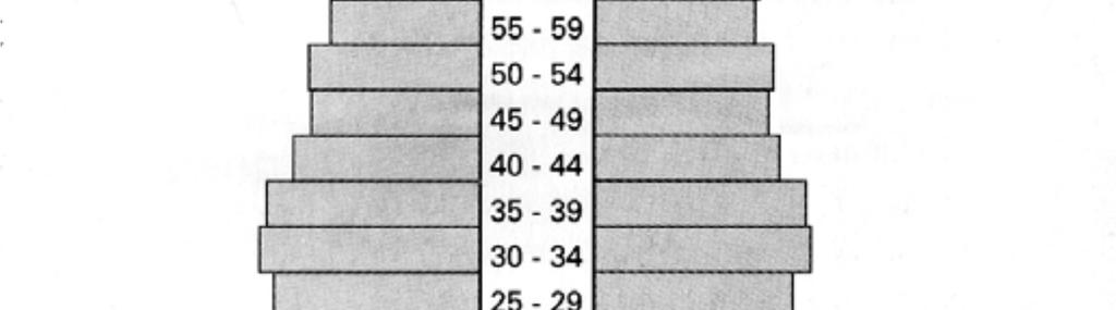 Na jej podstawie sformułuj trzy cechy demograficzne społeczeństwa, dla którego wykonano tę piramidę.