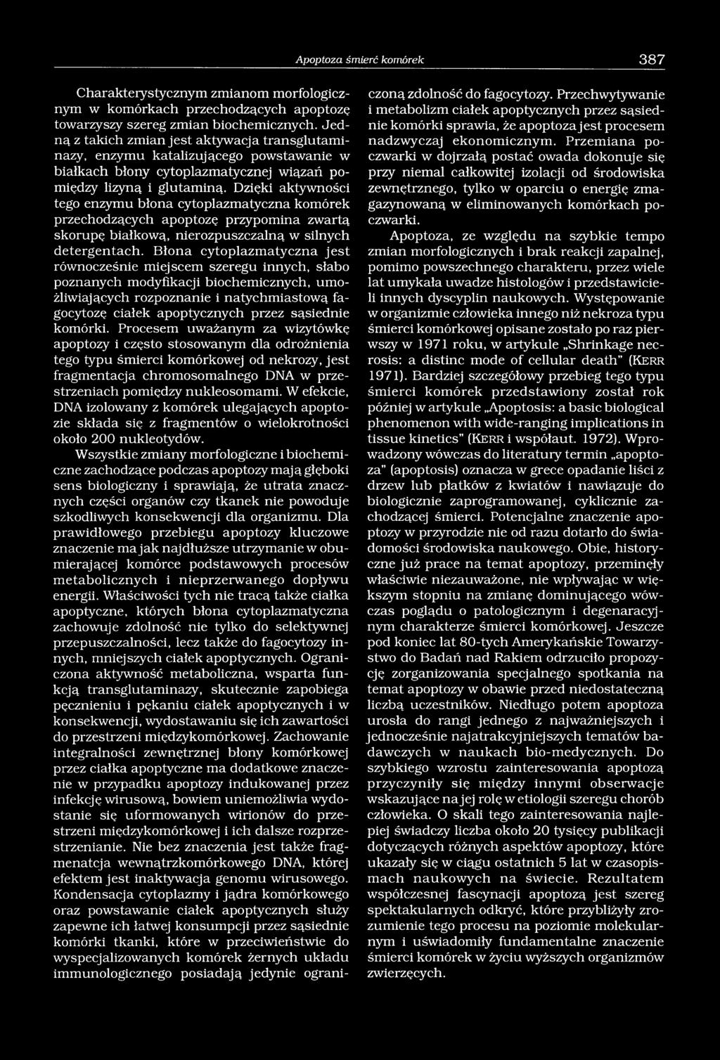 Dzięki aktywności tego enzymu błona cytoplazmatyczna komórek przechodzących apoptozę przypomina zwartą skorupę białkową, nierozpuszczalną w silnych detergentach.