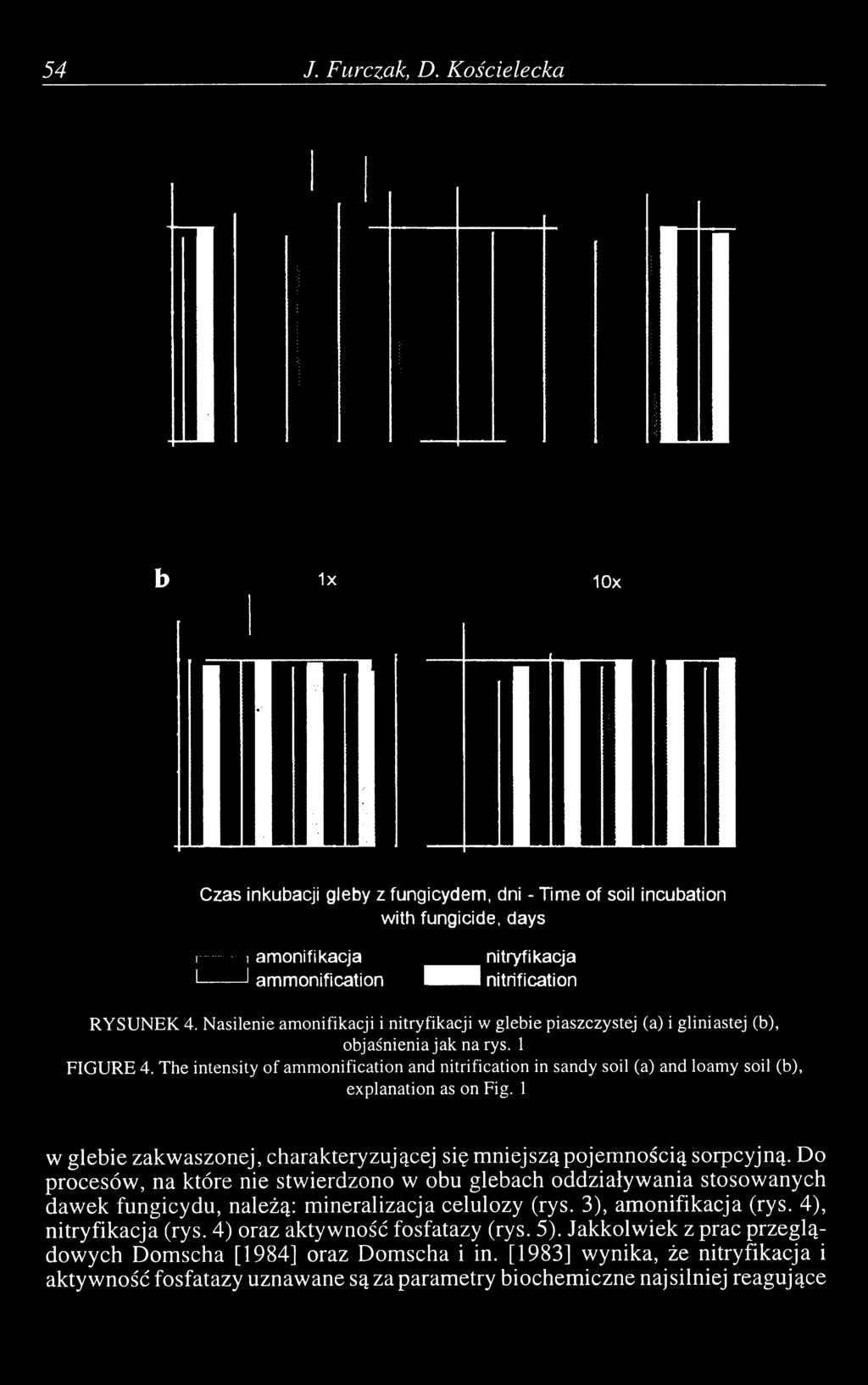 RYSUNEK 4. Nasilenie amonifikacji i nitryfikacji w glebie piaszczystej (a) i gliniastej (b), objaśnienia jak na rys. 1 FIGURE 4.