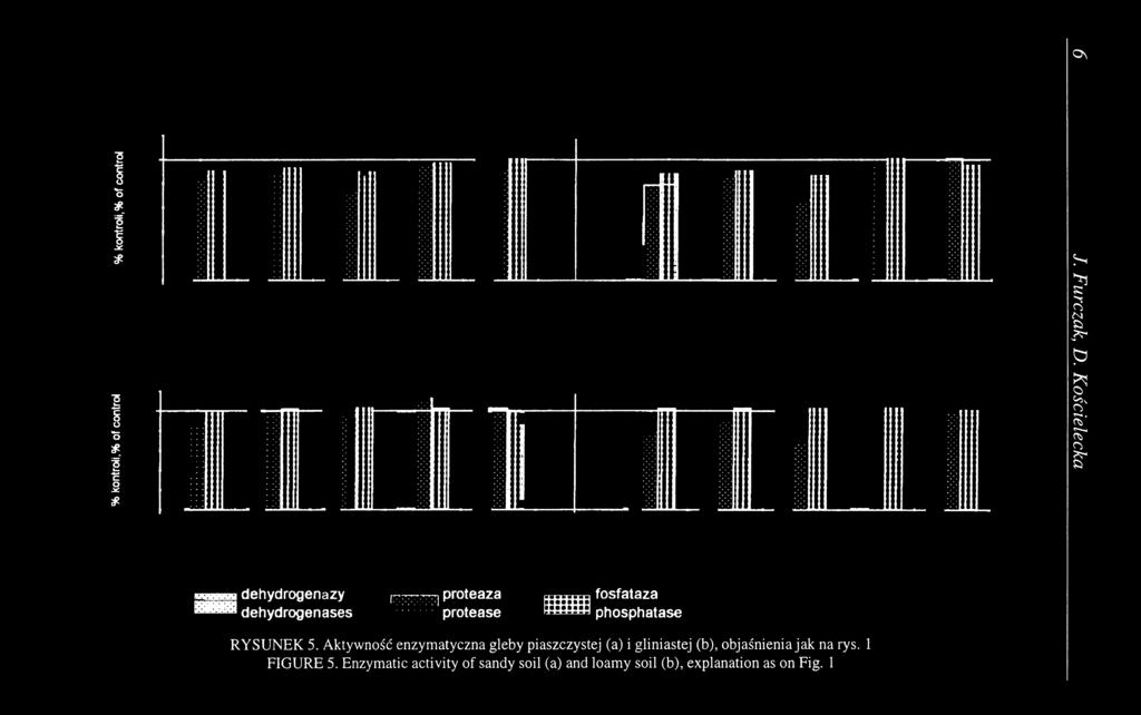protease 11ШШ] phosphatase RYSUNEK 5.