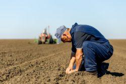 .pl https://www..pl Premier zapowiada nowy program dla rolników będzie to Rolnik Plus Niebawem minister rolnictwa przedstawi program Rolnik Plus.