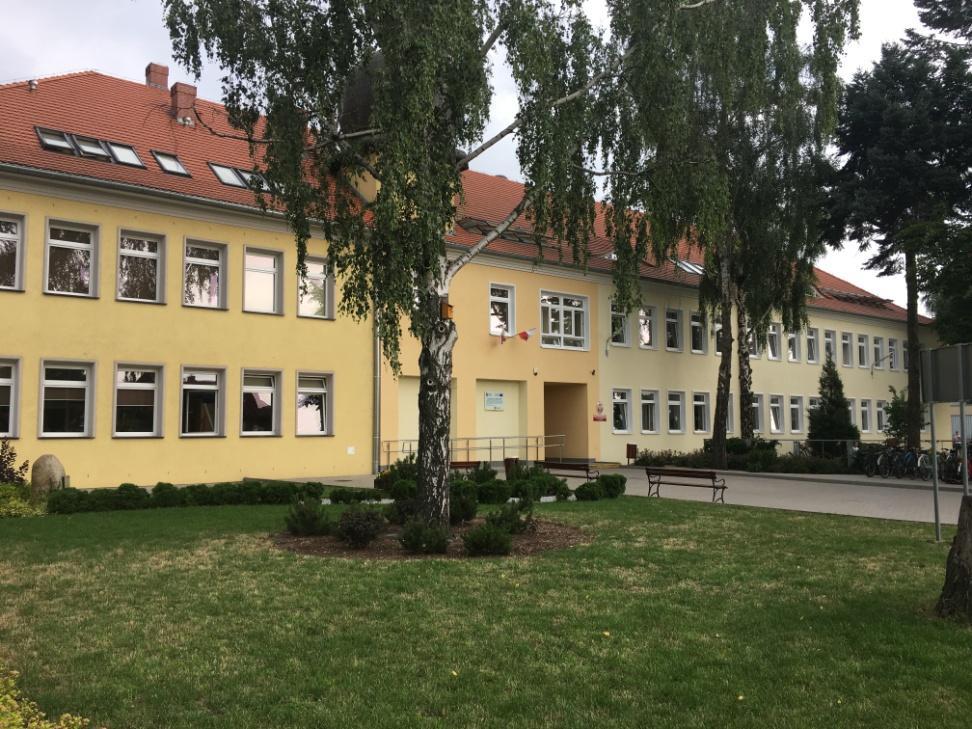 Okres realizacji projektu: czerwiec-grudzień 2017 W ramach projektu w 2017 roku m.in.