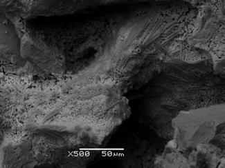 [2] Zicheng Li, Zhihong Li, Aiju Zhang, Yumei Zhu: Synergistic effect of Al 2 O 3 and (NH 4 ) 3 AlF 6 co-doped seed on phase transformation, microstructure, and mechanical properties of