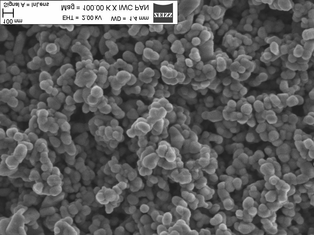 W celu oceny zawartości żelaza związanego w kserożelu węglowym, kserożel karbonizowany w temperaturze 800 C poddano wypalaniu w temperaturze 800 C w warunkach nieograniczonego dostępu powietrza.