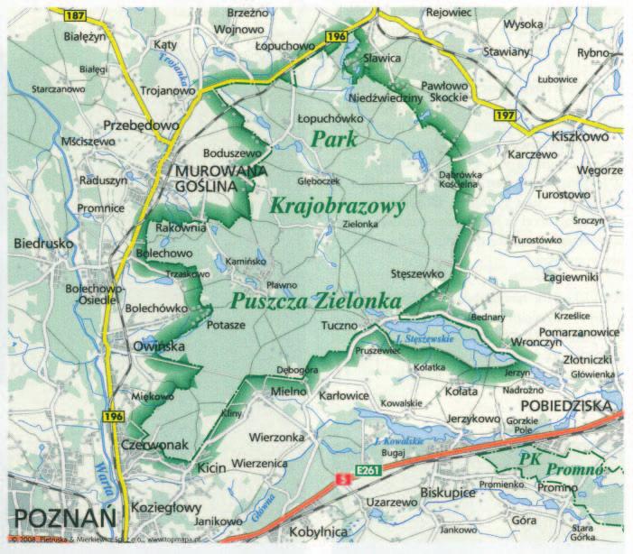 Hutę najlepiej wybudować w... puszczy!