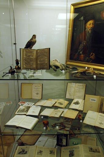 kolejnych właścicieli słynnego rodu Zamoyskich, w szczególności przez hrabiego Konstantego (1846-1923), który gruntownie przebudował pałac w latach 1898-1911, a w 1903 r.