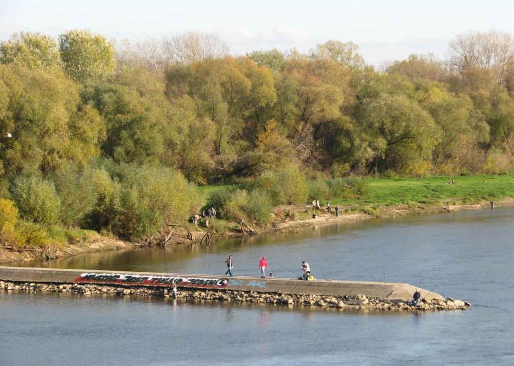 Fot. 19. Ławice piaszczyste to nieodłączny charakterystyczny i piękny element Wisły w jej środkowym oraz dolnym biegu. Powstają one podczas niskich stanów wody i przepływów.