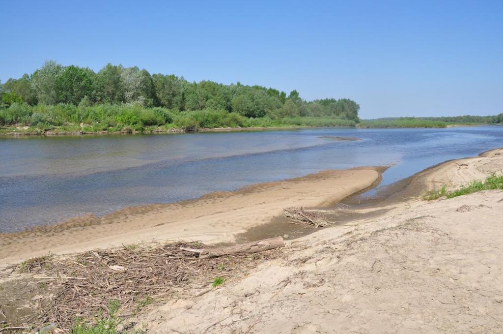 Wisła powyżej Płocka jest przykładem pięknej, atrakcyjnej rzeki mało znanej pod względem krajobrazowym.