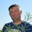 60,2 dt/ha 108% 46,3 dt/ha Hodowca: Typ: Euralis mieszaniec CHARAKTERYSTYKA: Wysokość roślin: Wigor powschodowy: Ruszenie wegetacji: Kwitnienie: Dojrzewanie: Odporność na wyleganie: średnia / bardzo