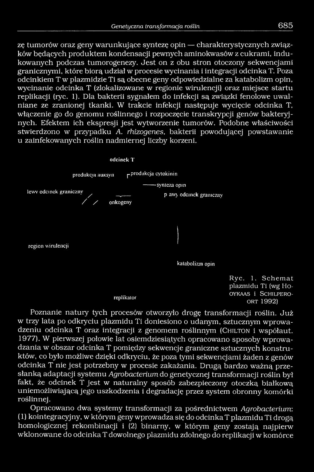 Poza odcinkiem T w plazmidzie Ti są obecne geny odpowiedzialne za katabolizm opin, wycinanie odcinka T (zlokalizowane w regionie wirulencji) oraz miejsce startu replikacji (rye. 1).
