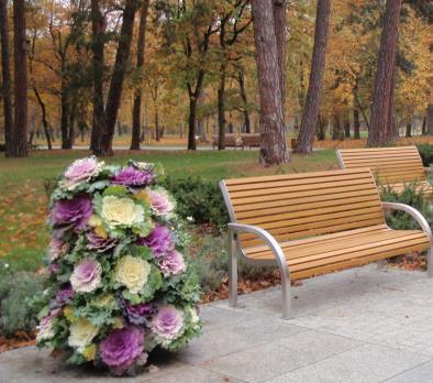 Oryginalne, zielono-fioletowo-różowe liście doskonale prezentują się na rabacie, w donicy oraz w wieżach kwiatowych. Do końca 2018 roku realizujemy jeszcze 2 zadania publiczne!