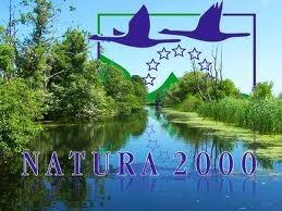 Stanowisko Komisji Europejskiej spowodowało, że sieć Natura 2000 była sukcesywnie uzupełniana w