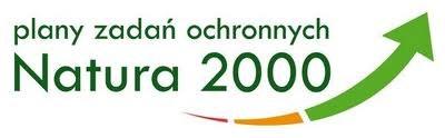 Plan ochrony ma za zadanie zdiagnozowanie wszystkich zagrożeń dla przedmiotów ochrony w obszarze Natura 2000 oraz ustalenie