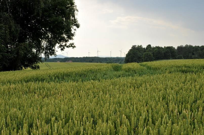 Narodowego Funduszu Ochrony Środowiska i Gospodarki