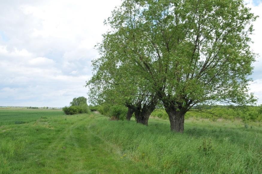 Projekt jest realizowany na terenie województw: dolnośląskiego, lubuskiego, wielkopolskiego oraz zachodniopomorskiego. Skierowany jest do mieszkańców wsi, rolników, samorządów i organizacji.