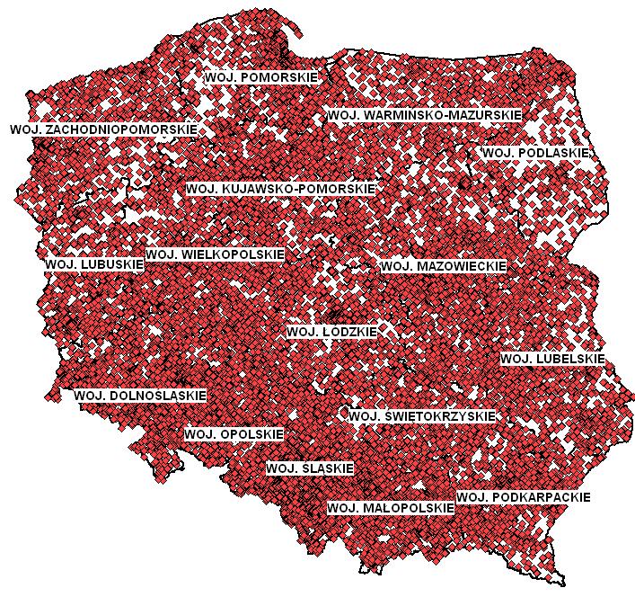 Prezentacja wyników -